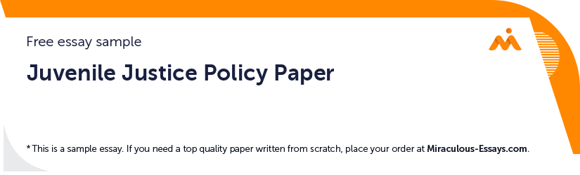 Free «Juvenile Justice Policy Paper» Essay Sample