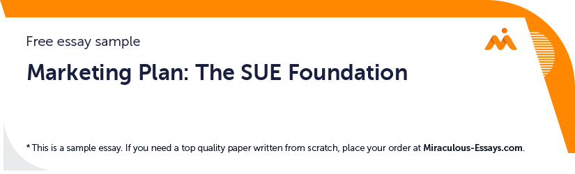Free «Marketing Plan: The SUE Foundation» Essay Sample